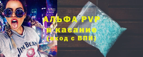 амф Аркадак